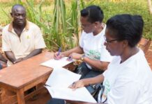 50 African female policy practitioners selected to join fellowship on improving policy in the agri-food systems