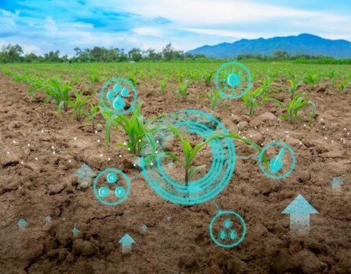 ‘AYuTe Africa Challenge Nigeria awards three agritech innovators