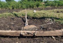 Agri Ministry Liberia, partners provide small holder farmers with grants Agri Ministry Liberia, partners provide small holder farmers with grants