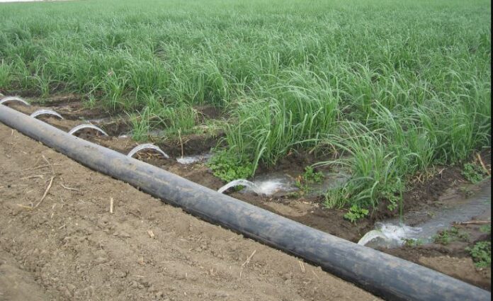 Egypt to recycle domestic wastewater for irrigation