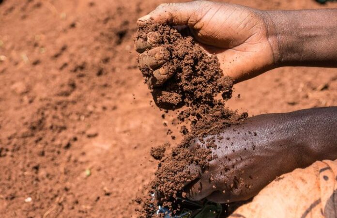 OCP Africa launches soil mapping project in Kenya