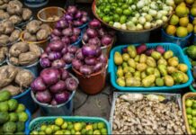 The 4th National Agriculture and Tourism Fair held in Gambia The 4th National Agriculture and Tourism Fair held in Gambia