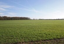 Nigeria to benefit from IsDB’s Food Security Response Program Nigeria to benefit from IsDB’s Food Security Response Program