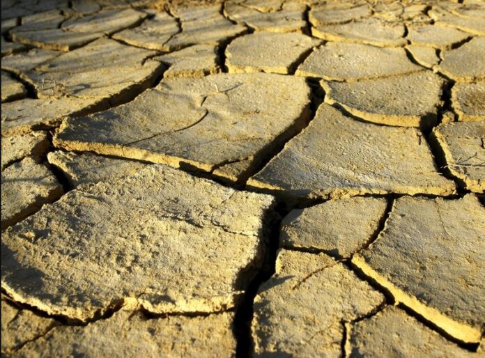 Mali to receive US $30M for climate resilience in drylands