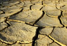 Mali to receive US $30M for climate resilience in drylands Mali to receive US $30M for climate resilience in drylands
