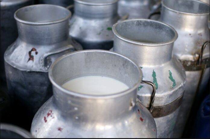 Rwanda to increase milk production