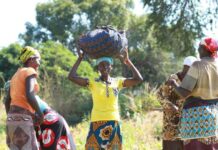 Germany provides EUR 30 million to IFAD’s immediate response to the global food and energy crisis