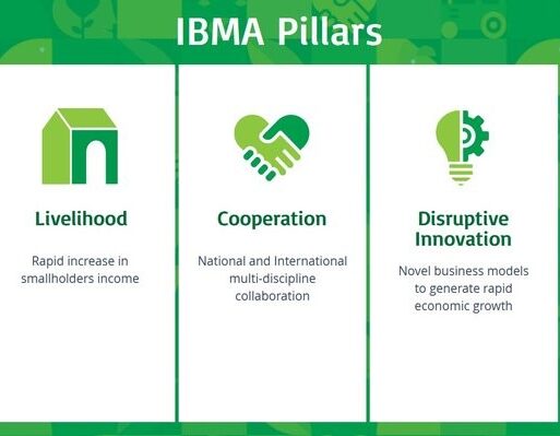 IBMA Pillars