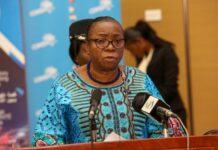 Guard against food insecurity-Nalumango warns Comesa