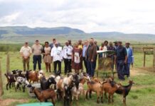 Saai launches artificial intelligence platform for family farmers