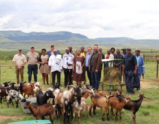 Members of the AmaBhele kaJamangile royal family and community with AfriForum Saai and LGL Indigenous Veld Goat Skilder Stud