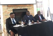 Zambia opts for Carbon markets to empower communities