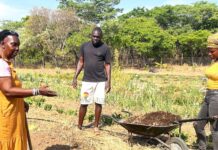 Emancipation through agriculture > The Goetheanum’s Section for Agriculture reflects on a hundred years of biodynamics