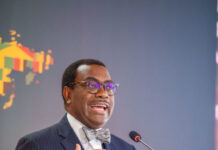 Diaspora’s remittances, investment and expertise vital for Africa’s future growth, say participants at African Development Bank Forum