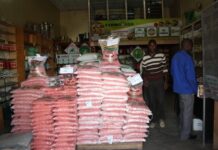 Hasten farming inputs during festive season-Hichilema