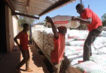 Avail Africa cheap, affordable fertilizer-World Bank