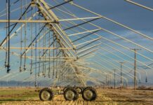 Water Conservation in African Agriculture