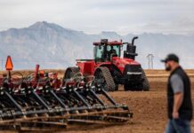 Africa has an opportunity to deliver on Net-Zero Agriculture