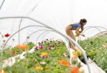 Considering Floriculture for Bringing Extra Income to Your Farm