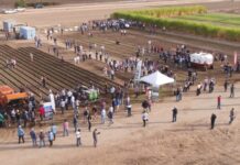 Agricultural robots, Italian manufacturers in the spotlight at FIRA in Toulouse