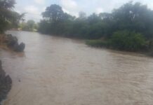 SA farmer fined R1.5m for constructing illegal dam