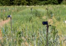 DLG taking part in E.U. biodiversity monitoring project