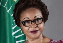 Ukraine/Russia war opportunity for Africa to ramp-up production: AU