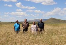 Joint agricultural development project harvests second grain crop