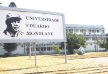Universities partner to grow edible greens in Mozambique cities