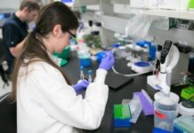 Bayer launches new collaboration with Oerth Bio to further advance innovations in crop protection