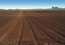 Researchers callfor equitable global distribution of phosphorous fertilisers