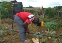 2023 global climate prize seeks African organisations powering a fairer future