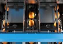 How citrus packhouses can improve profitability with the latest sorting and grading solutions