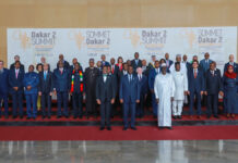 AfDB to commit $10 billion to make continent the breadbasket of the world : Feed Africa Summit