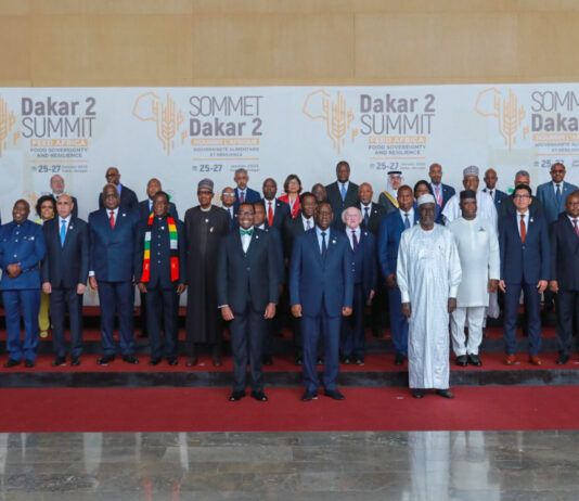 AfDB to commit $10 billion to make continent the breadbasket of the world : Feed Africa Summit