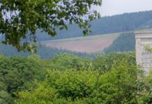 Controlling Weeds With No-Till Agriculture Methods