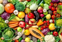 Fruit Logistica 2023: Bayer focuses on partnerships, sustainability, and innovation