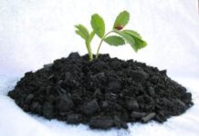 Biochar Market to Expand at US$ 26.5 Million by 2033