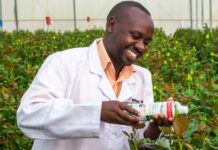 Biological pest control solutions provider pointing African farmers to safer food production methods