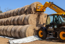 Versatile JCB Agri Telehandler improves efficiencies at Goedgevonden Farm