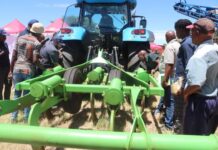 FarmSol and SAB power farmers in the North-West to new productivity levels