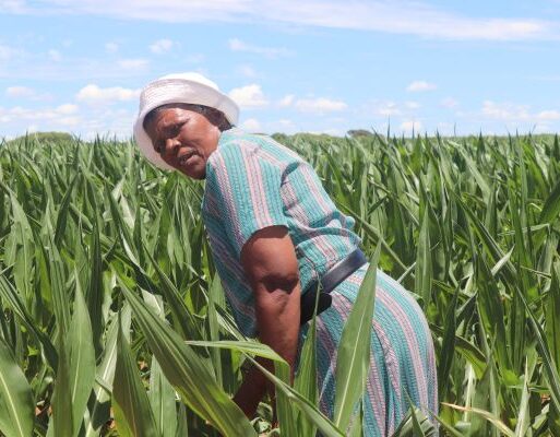 development of black farmers