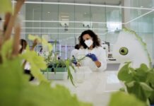 Bayer and Kimitec join forces to bring the next generation of Biologicals to millions of growers worldwide