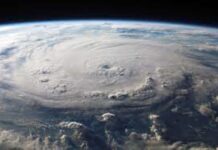 La Niña destroys crops, livestock in SA