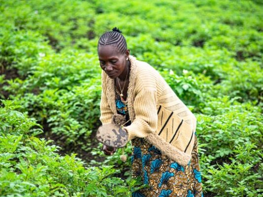 New IFAD-funded project in DRC to feed cities, develop rural areas and promote food sovereignty