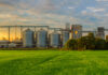 Grain SA: The future of food security is rooted in viable production