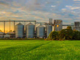 Grain SA: The future of food security is rooted in viable production