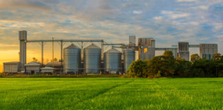 Grain SA: The future of food security is rooted in viable production