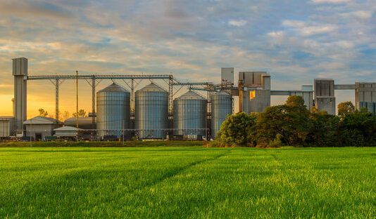 Grain SA: The future of food security is rooted in viable production