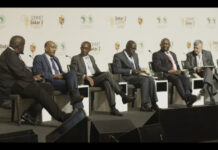 Unlock the impact potential of agricultural Small and Medium Enterprises in Africa